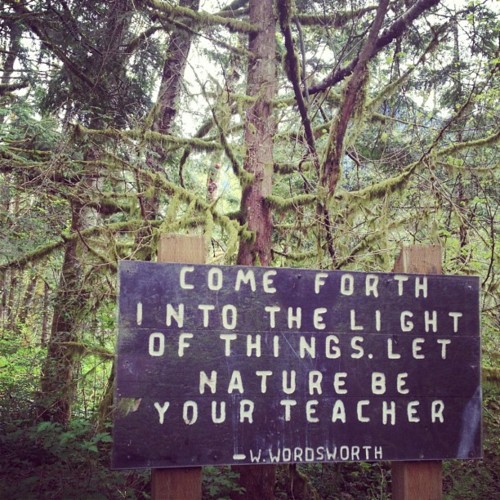 comeforthintothelight