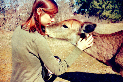 deer, kindness, love, compassion, Laina Briedis