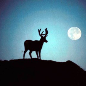 FULL MOON~ August 13th, 2011
