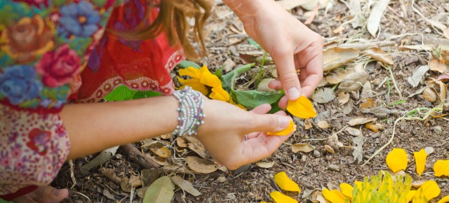 Summer Solstice Rituals, Ideas and Significance~