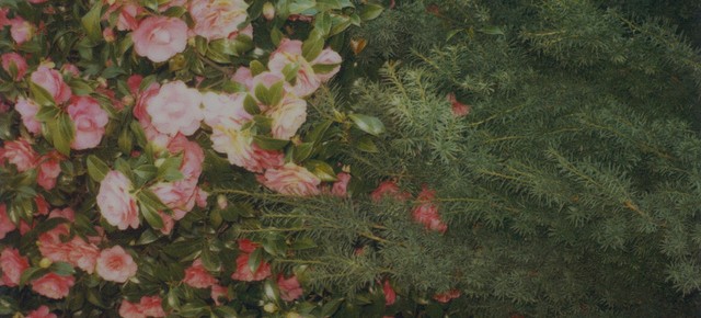 Find your creative currency~