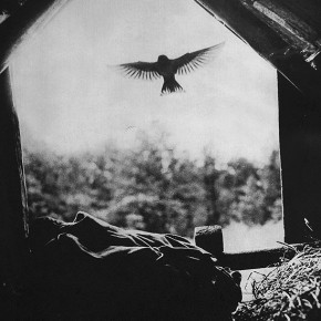 Kaypacha Report: Life is an interplay of light and dark~