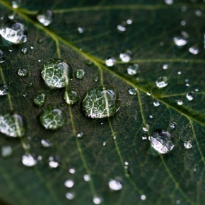 Kaypacha Report: Brilliant, bright, and clear~ Kaypacha Report: Brilliant, bright, and clear~