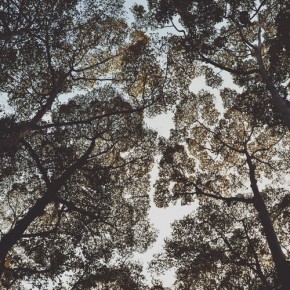 Weekly guidance from Kaypacha: I see Spirit's intentional restructuring~ Weekly guidance from Kaypacha: I see Spirit's intentional restructuring~