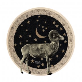 NEW MOON in Aries April 15th 16th 2018~