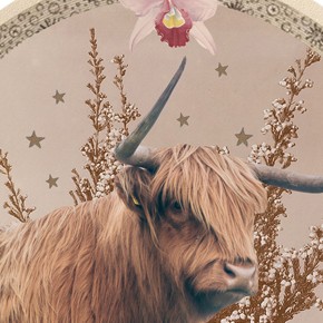 TAURUS SEASON + VENUS + URANUS into Gemini!