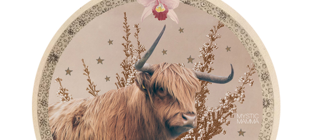 TAURUS SEASON + VENUS + URANUS into Gemini!