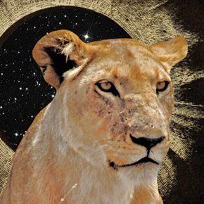 NEW MOON in LEO + TOTAL Solar Eclipse August 12th 2026~