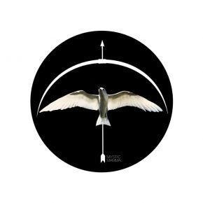 NEW MOON in Sagittarius December 19th 2025~