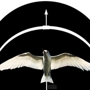 NEW MOON in Sagittarius December 19th 2025~