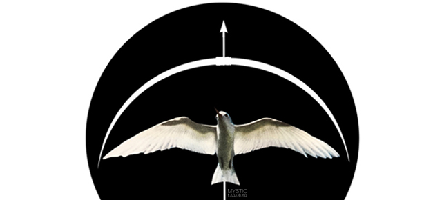 NEW MOON in Sagittarius December 19th 2025~