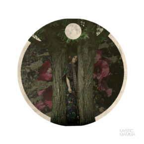 FULL MOON in TAURUS November 5th 2026~