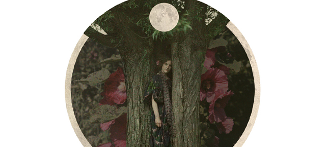 FULL MOON in TAURUS November 5th 2026~