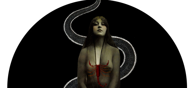 NEW MOON in SCORPIO November 19th/20th 2025~